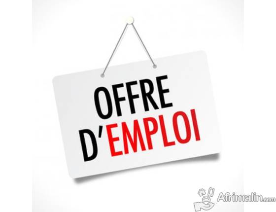 Offre d emploi declarant en douane