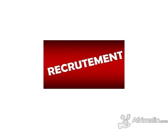 Offre d emploi declarant en douane