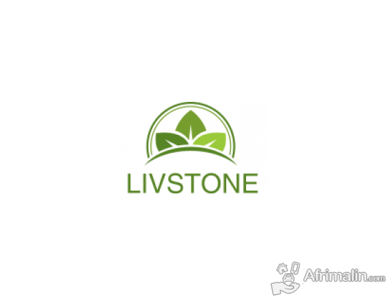 Offre d emploi veilleur strategique