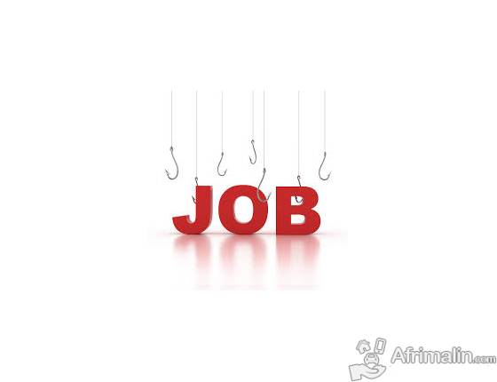 Avis de recrutement d'un directeur Marketing et Commercial 