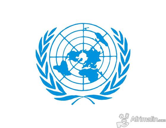 L Onu Recrute Des Stagiaires Kinshasa Region De Kinshasa Republique Democratique Du Congo Offres D Emploi Sur Afrimalin