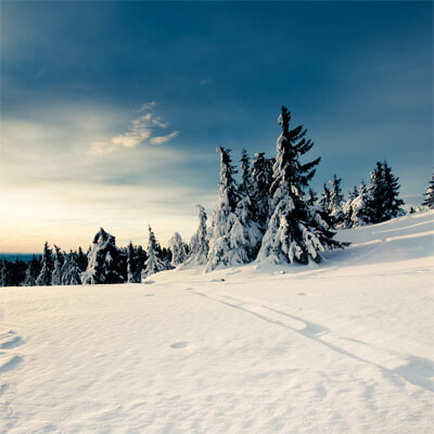 fasdfdfsdfsafsdfsasdf