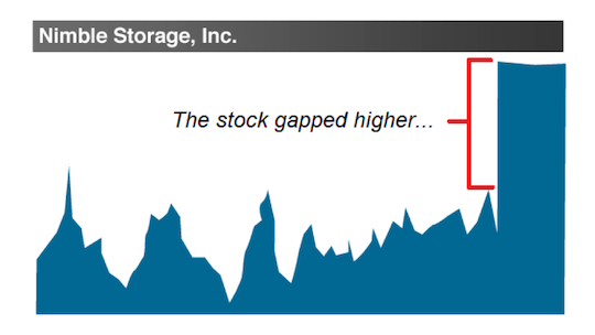 Nible Storage, Inc chart