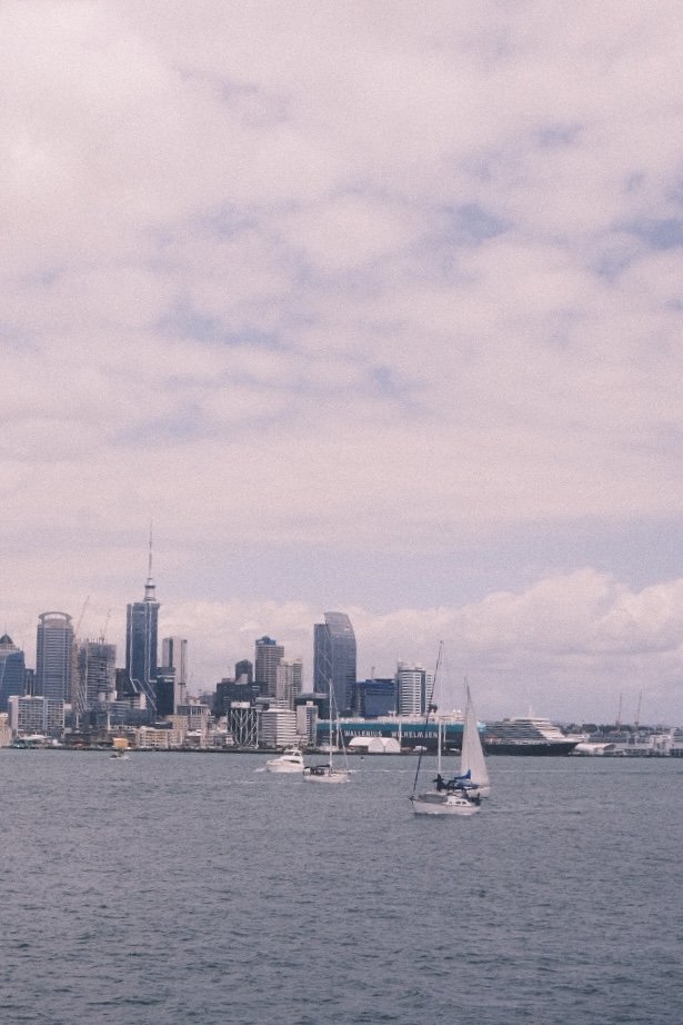 Auckland harbor