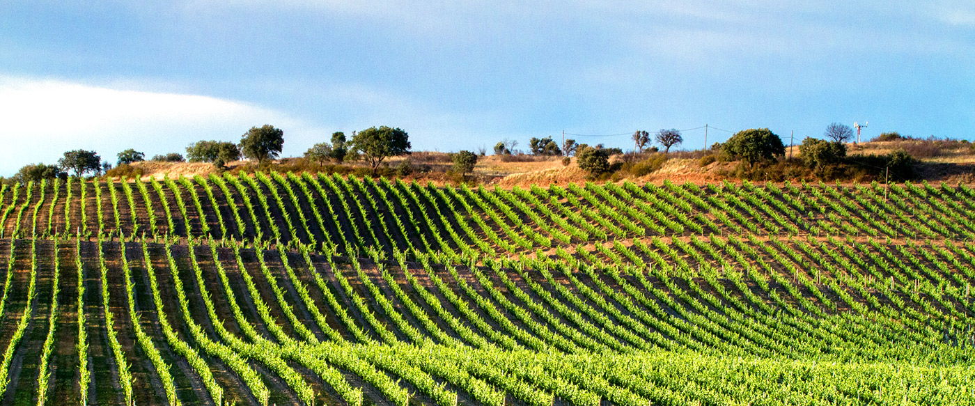 Похожее изображение