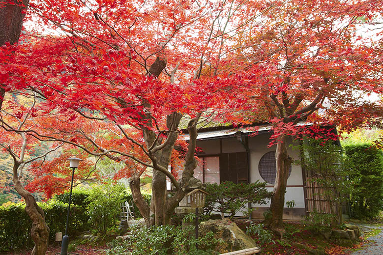 Luxury Travel Experts &amp; Recommendations | Andrew Harper