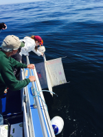 a woman on a boat reaching to retrieve a drifter device from the ocean