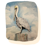 Image of a Pelican created with watercolor paints for an Adult Art Class at the library.