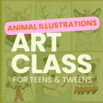 Animal Illustrations