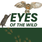 Learn about rescue animals with an animal educator and live animals!
