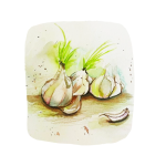 Garlic