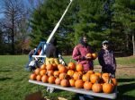 Pumpkin Chunkin' with Penn State Abington