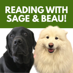 Kids can practice reading aloud to therapy dogs at the Roslyn Library this summer.