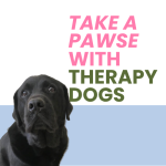 therapy dogs
