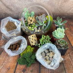 Collection of small succulents, moss, small rocks, and glass terrarium.