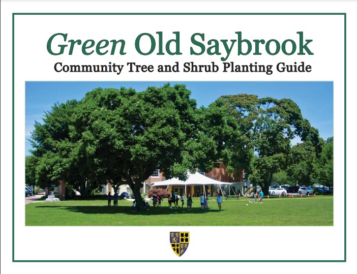 04/10/2025 Green Old Saybrook Acton Public Library