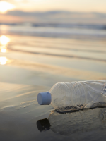 empty water bottle laying on the edge of the ocean