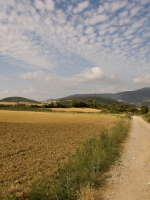 dirt road winding through dried hayfields