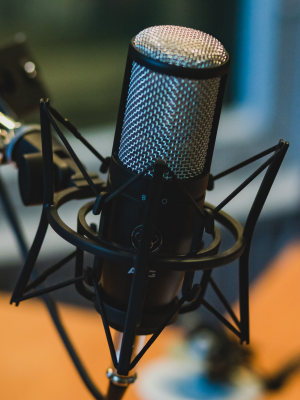 One-on-One Audio Recording image