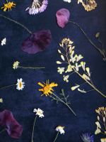 Pressed flowers in all colors set against navy blue fabric.