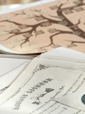 Family Trees, Genealogy & DNA image