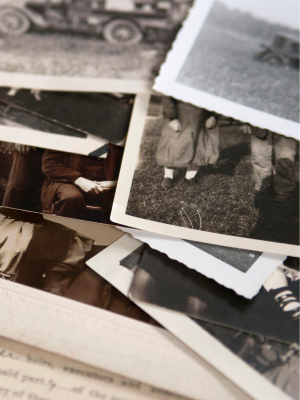 Family Trees, Genealogy & DNA Online image