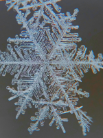 A detailed closeup image of a snowflake.