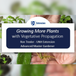 Hands holding a plant in dirt, with text over the image reading "growing more plants with vegetative