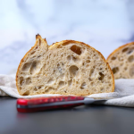 Sourdough Starter Workshop with Sourdough Brandon (In-Person)
