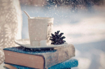 Snow with cup of hot chocolate and books