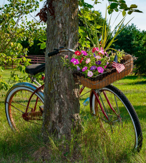 Virtual - Photography Critique with Photographer Jim Kahnweiler: Pick Your Summer Favorites image