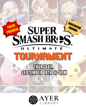 Super Smash Bros Tournament! image