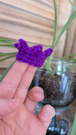 crochet crown