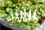 Sprouts with silhouettes of people