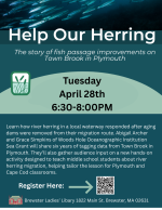 Learn how river herring in a local waterway responded after aging dams were removed from their migra