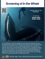A whale swims towards a scuba diver with its mouth open.