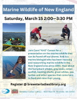 Different marine creatures are on the beach.