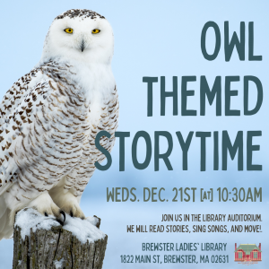 12/21/2022 Owl Themed Story Time Brewster Ladies' Library