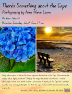 Two photographs. One of a hydrangea and one of a sunset over the beach.