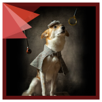 Mysterious Mornings Book Group