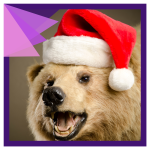 Tweens and Teens: Honey Heist: the BEAR-varian Affair