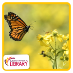 a Monarch butterfly flies up to a yellow flower