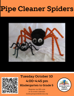 Pipe Cleaner Spiders (B, MCI)