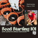 Image of Allison and planting pots