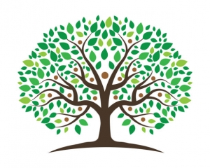 Genealogy Group image
