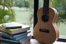 CULE- Charlton Ukulele League & Ensemble image