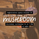 hand sewn felt mushrooms