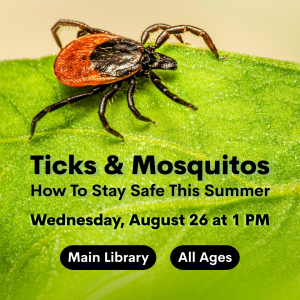 Ticks & Mosquitos: How To Stay Safe This Summer image