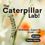 monarch caterpillar on a stem