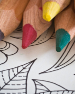 Adult Program 